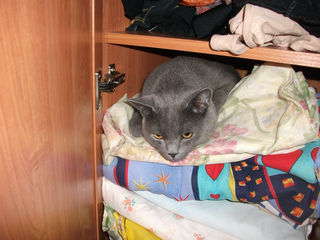 Что-б ещё такое спаять?